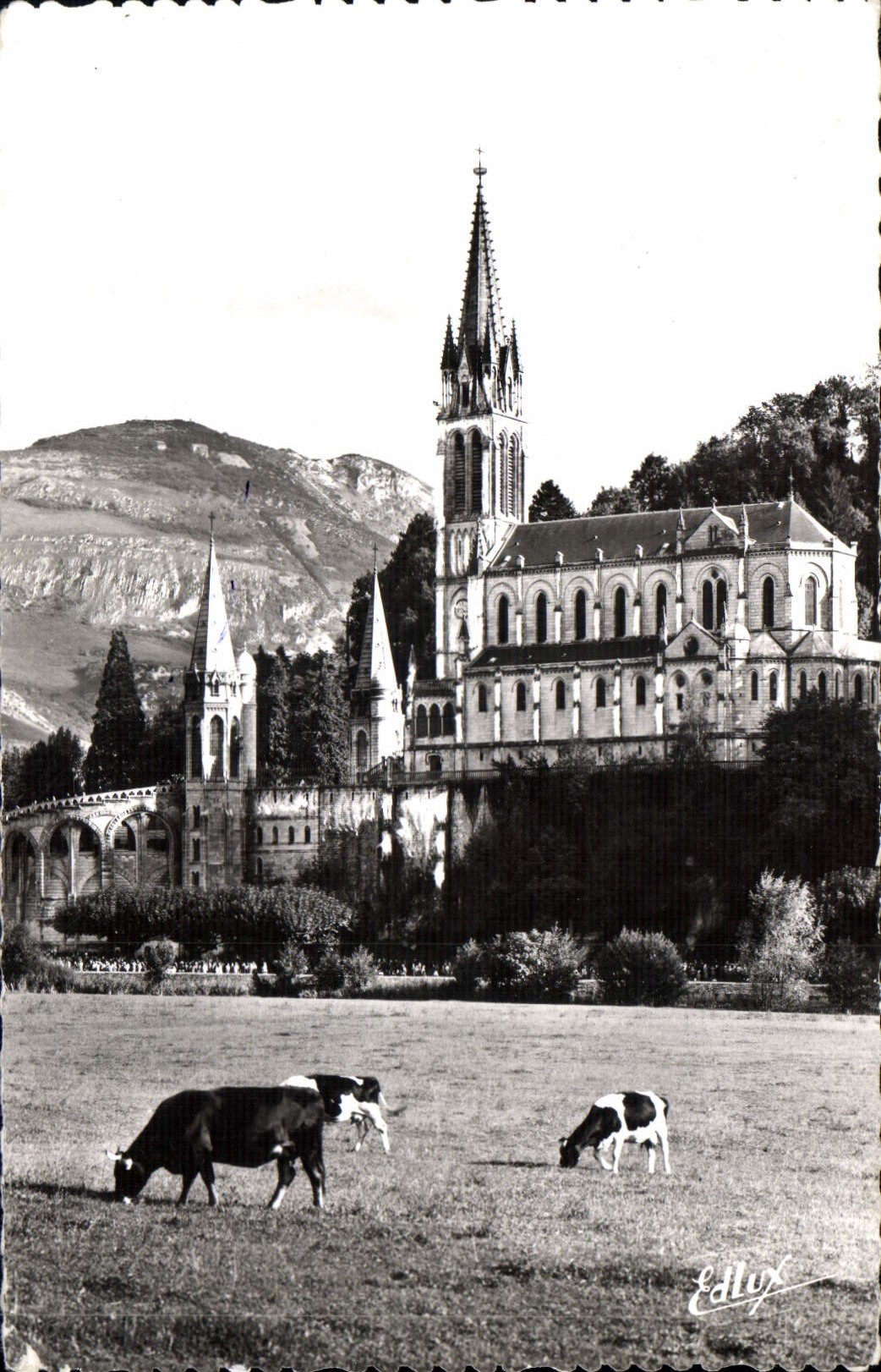 CPA Lourdes La Basilique et le Pic du Jer 