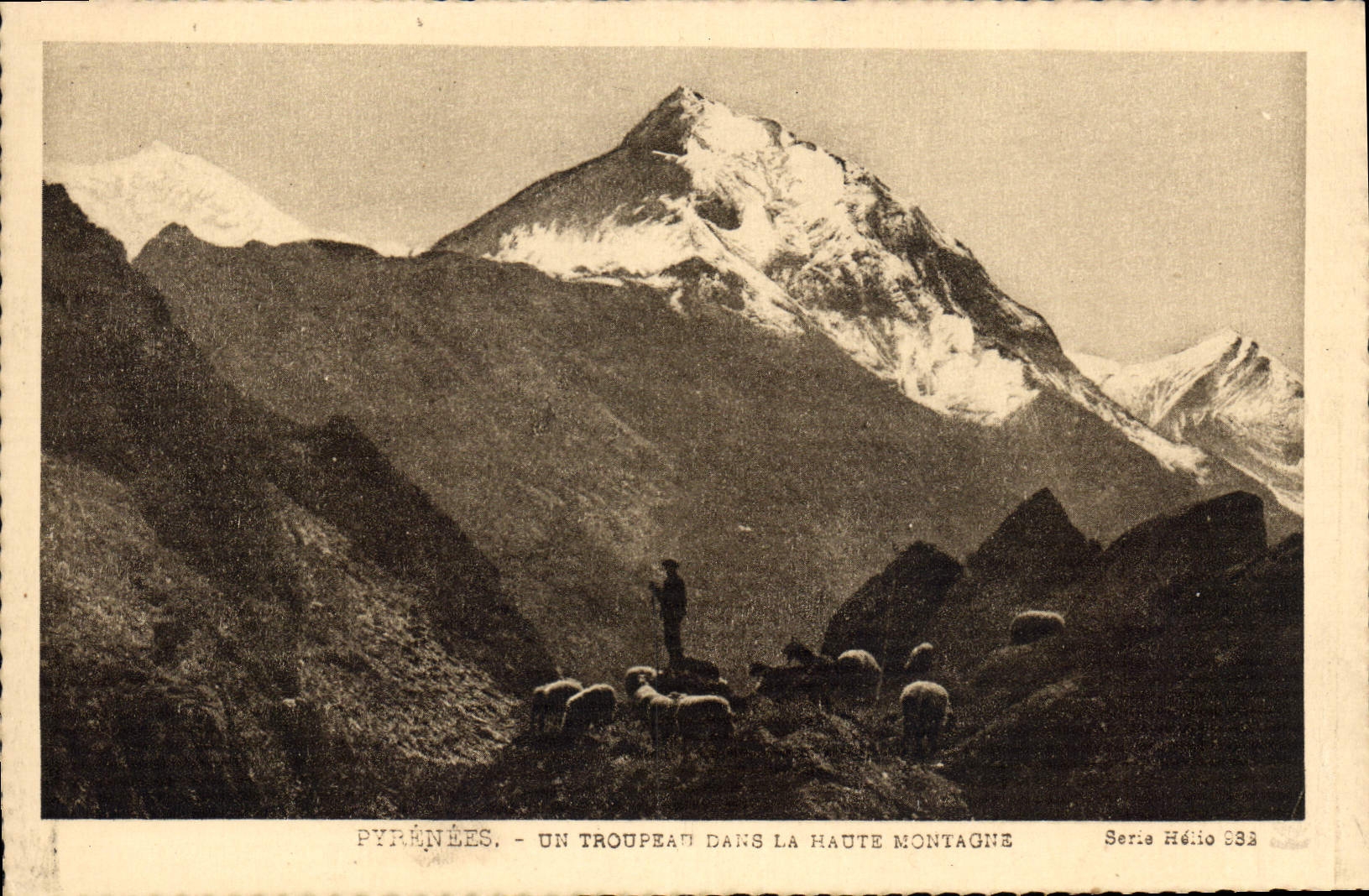 CPA Pyrenees Un Troupeau dans la Haute Montagne 