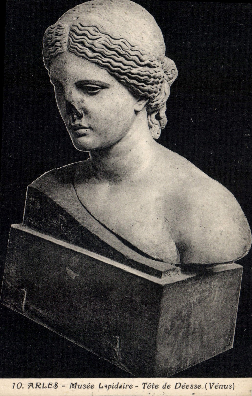 CPA Arles Musee Lapidaire Tete de Deese Venus 