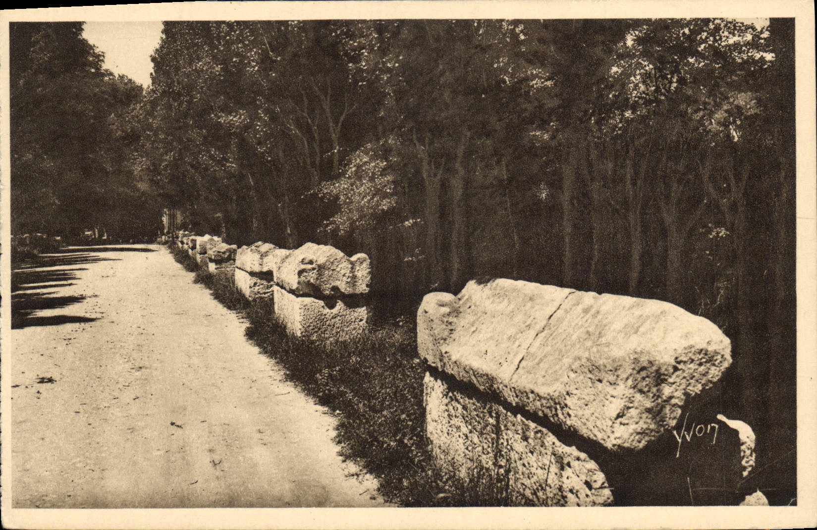 CPA Arles Bouches du Rhone les Alyscamps l'Allee des Tombeaux 