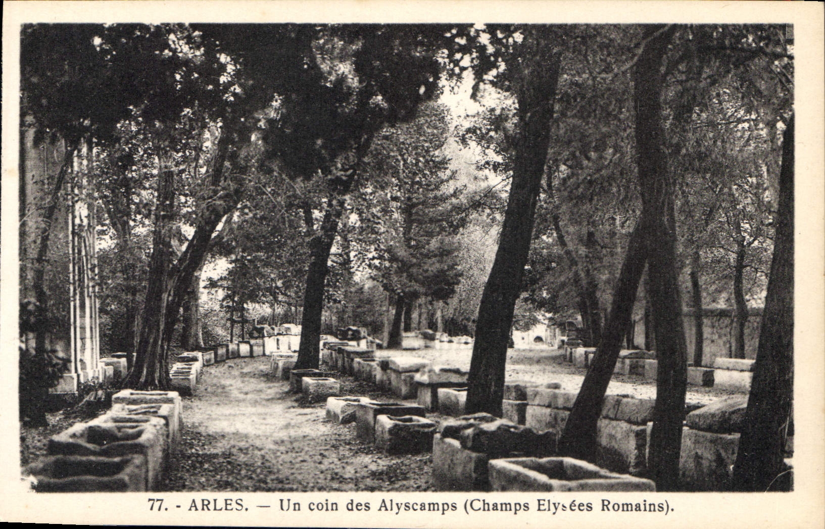 CPA Arles un Coin des Alyscamps Champs Elysees Romains 