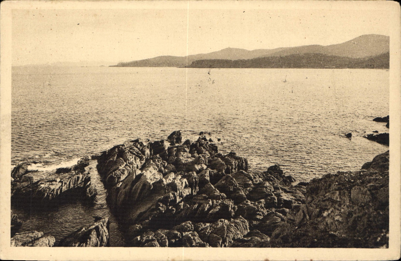 CPA Le Lavandou Faviere 