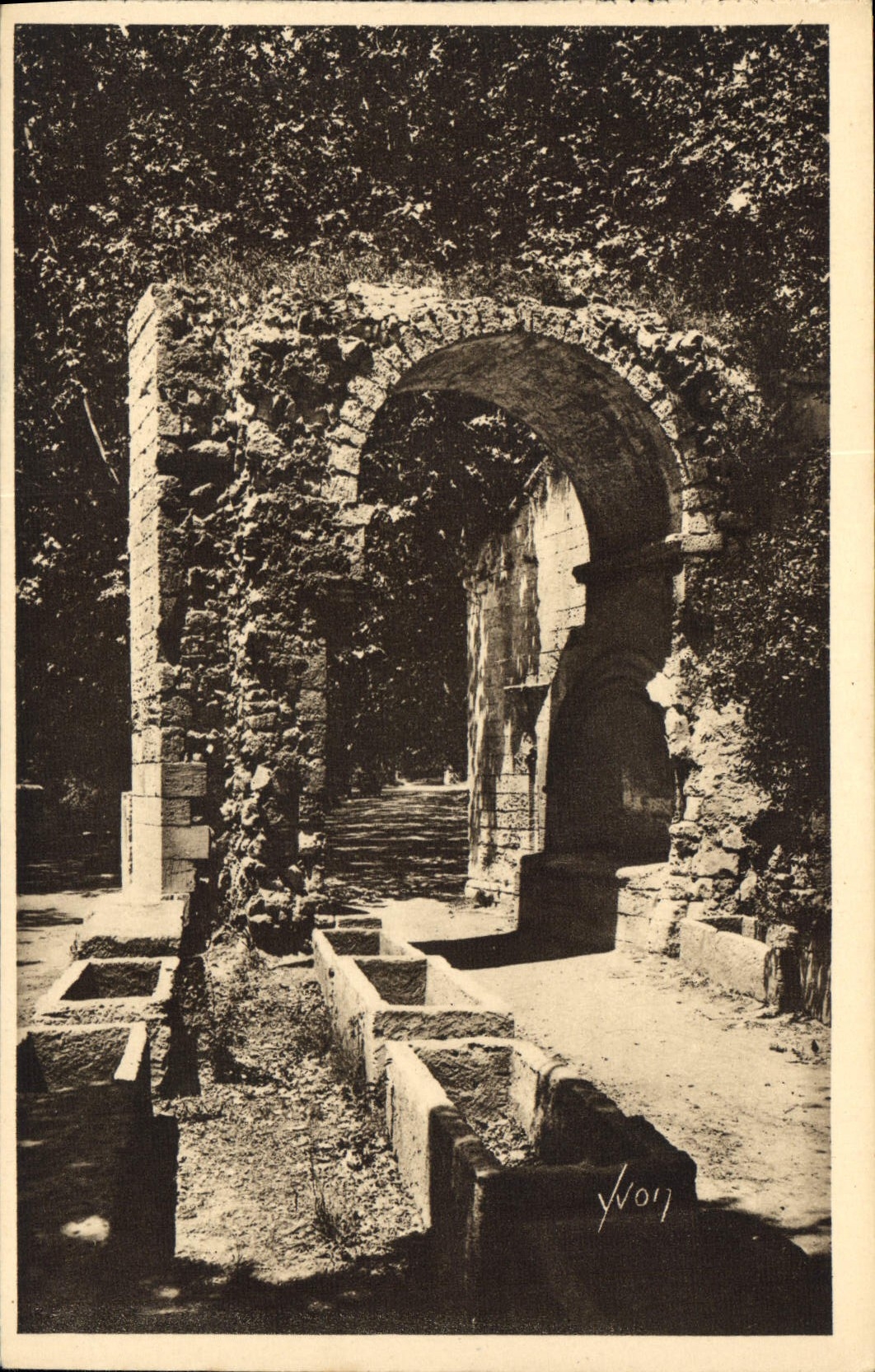 CPA Arles Bouches du Rhone les Alyscamps 