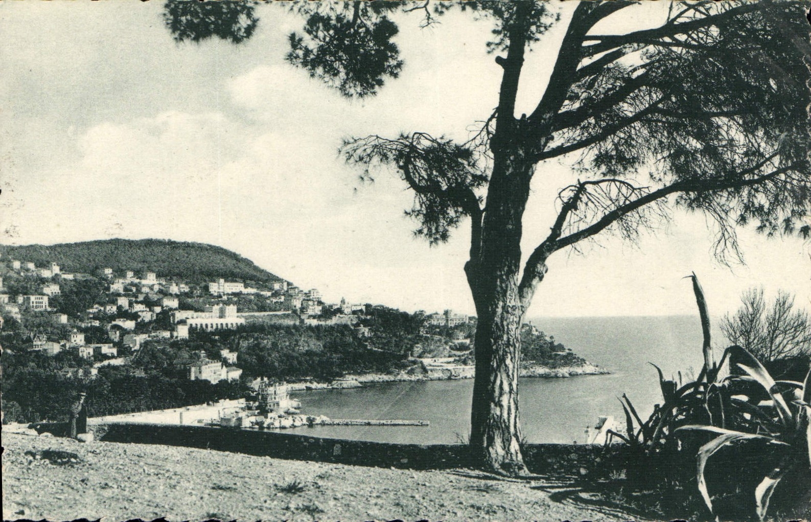 CPA Nice A M le Mont Boron et l'entree du Port vue prise du Chateau 