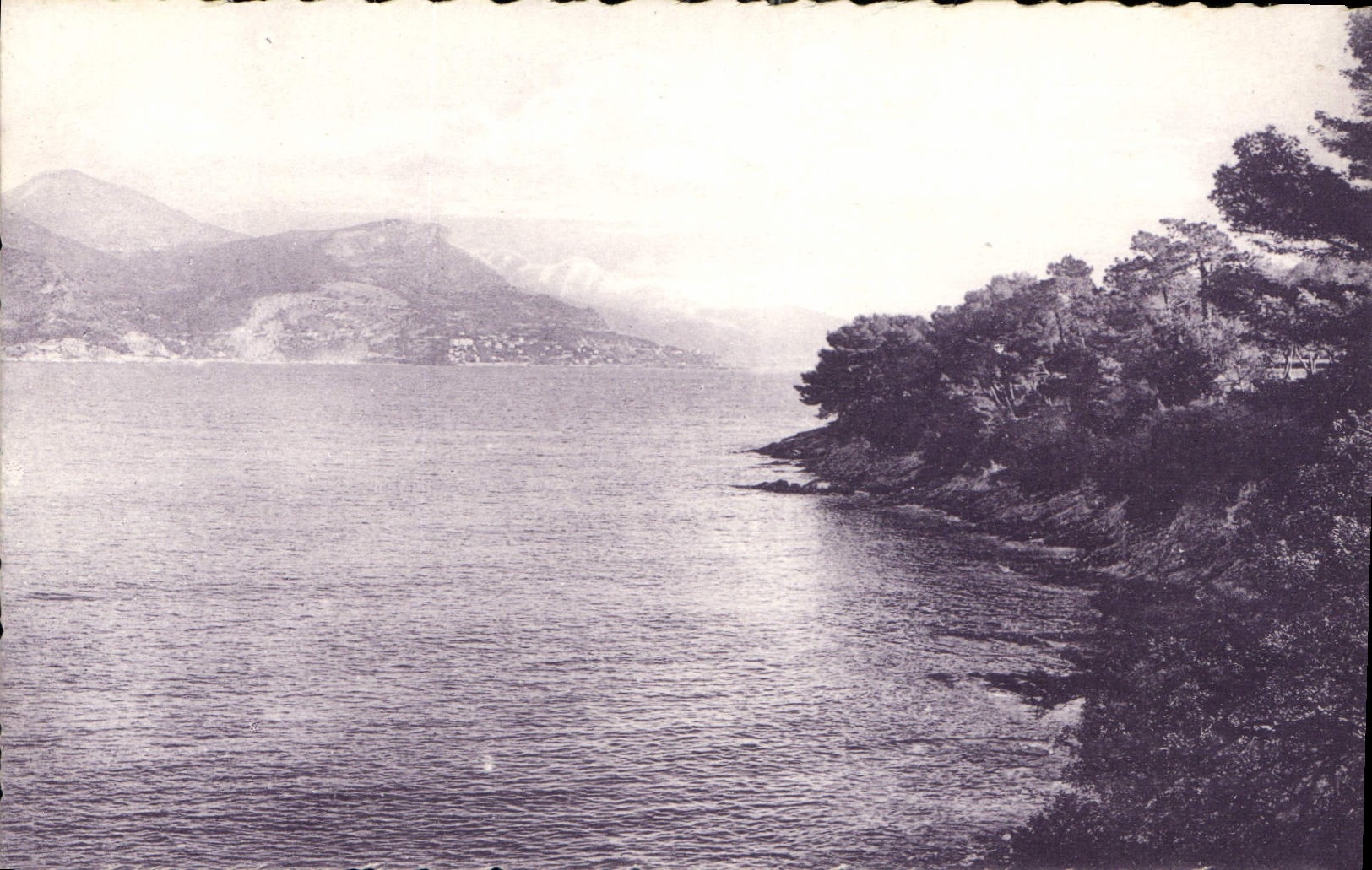 CPA La Cote d'Azur Pittoresque le Cap d'Ail pres du Cap Ferrat