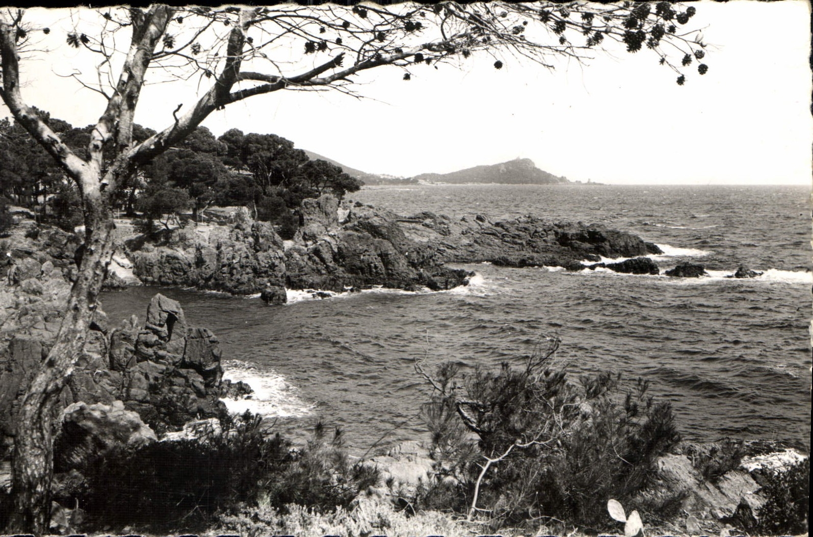 CPA Cote d'Azur Boulouris Calanques de Sainta Lucia au fond le Dramont 