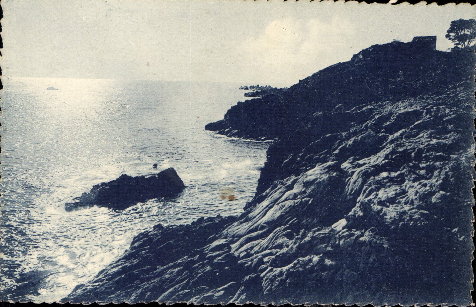 CPA Nice A M coucher de Soleil au Mont Boron 