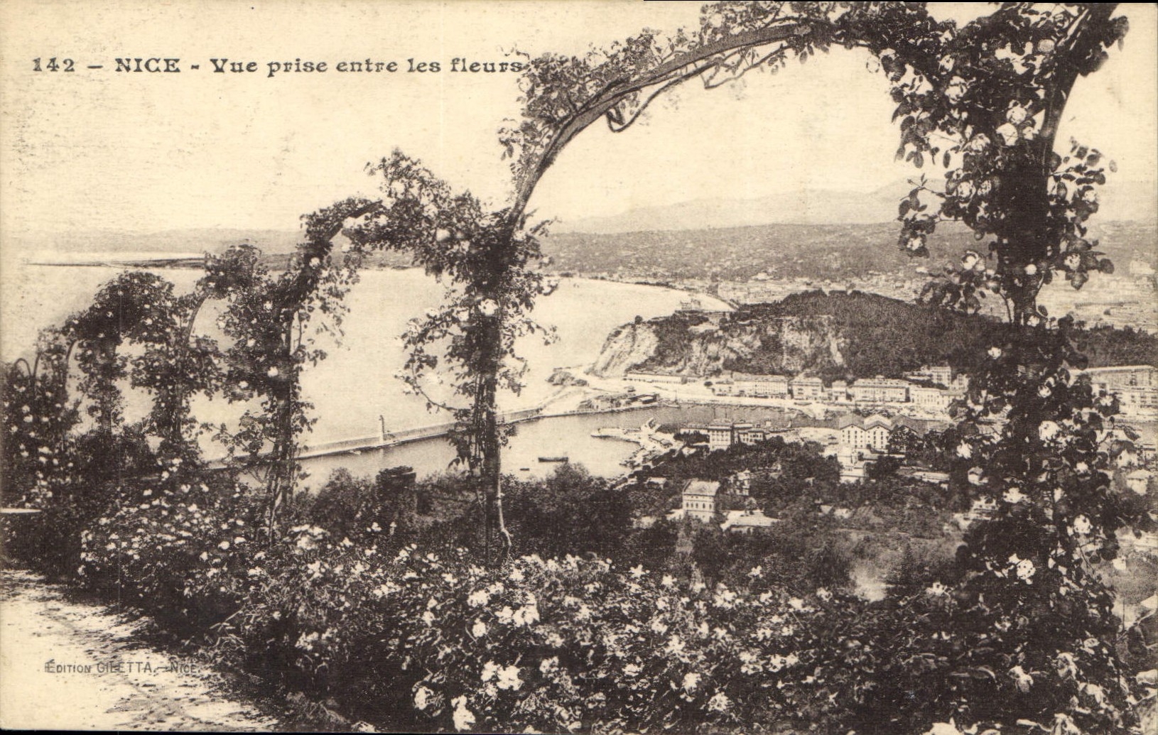 CPA Nice vue prise entre les fleurs 