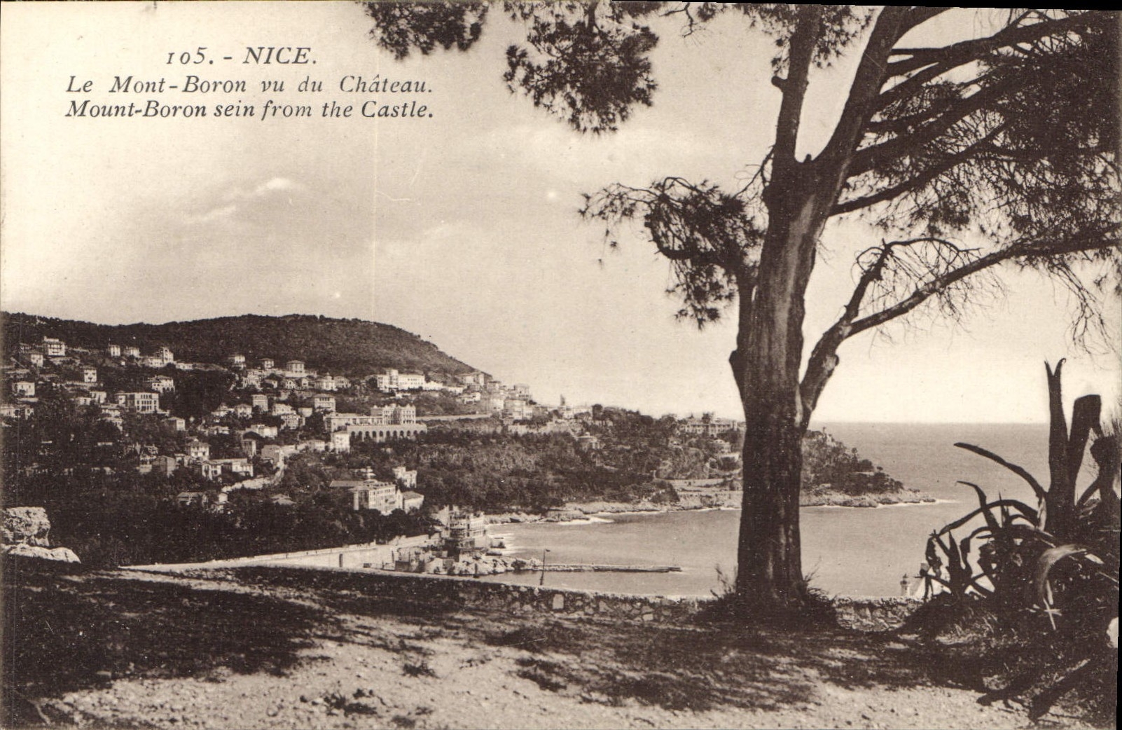 CPA Nice le Mont Boron vu du Chateau 