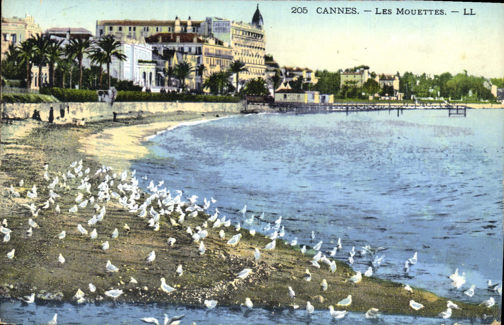 CPA Cannes les Mouettes 