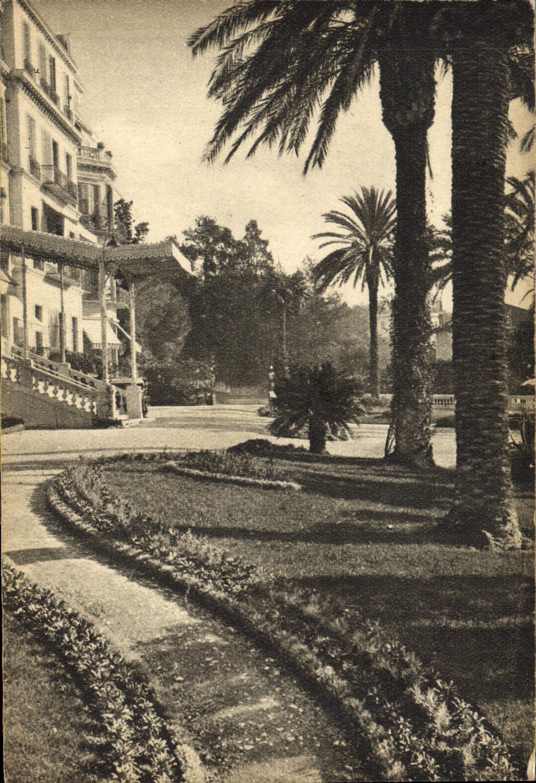 CPA Cannes A M Parc de l'Hotel Beausejour 