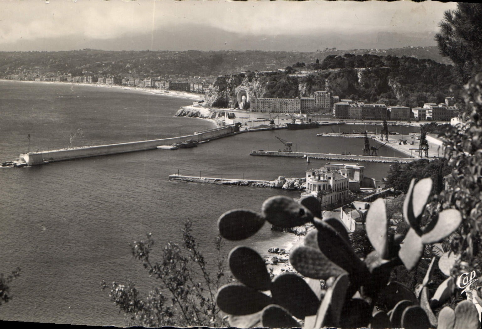 CPA Nice vue generale 