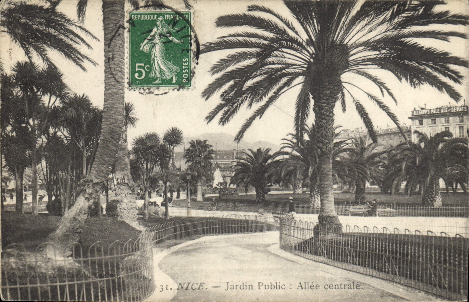 CPA Nice Jardin Public Allee centrale