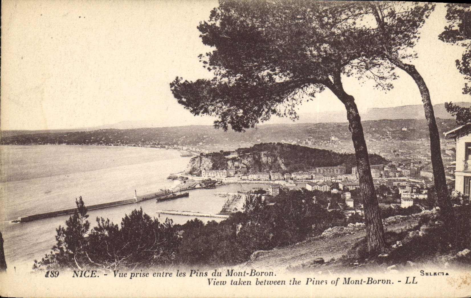 CPA Nice vue prise entre les Pins du Mont Boron 