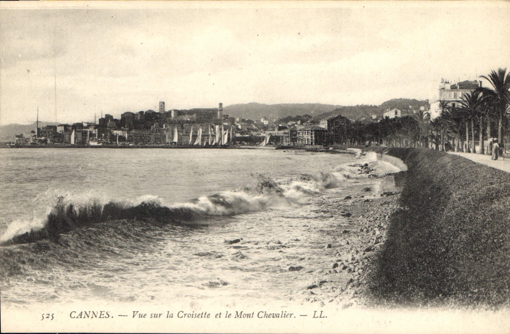 CPA Cannes vue sur la Croisette et le Mont Chevalier 