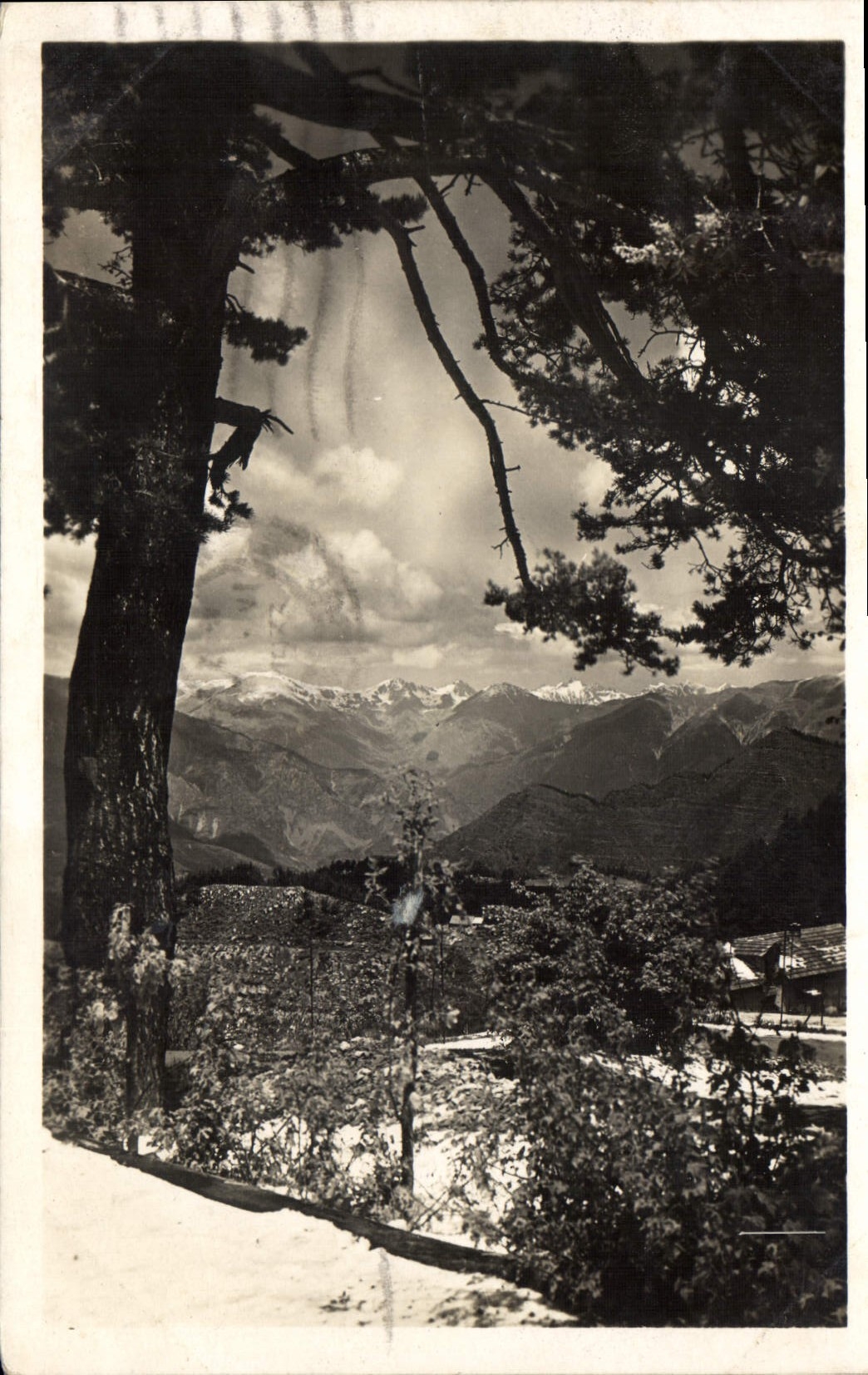 CPA Peira Cava A M environs de Nice la Chaine des Alpes 