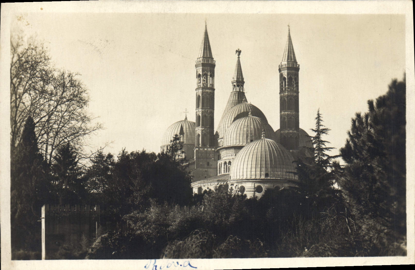 CPA Padova Basilica del Santo Cupole e Campanili