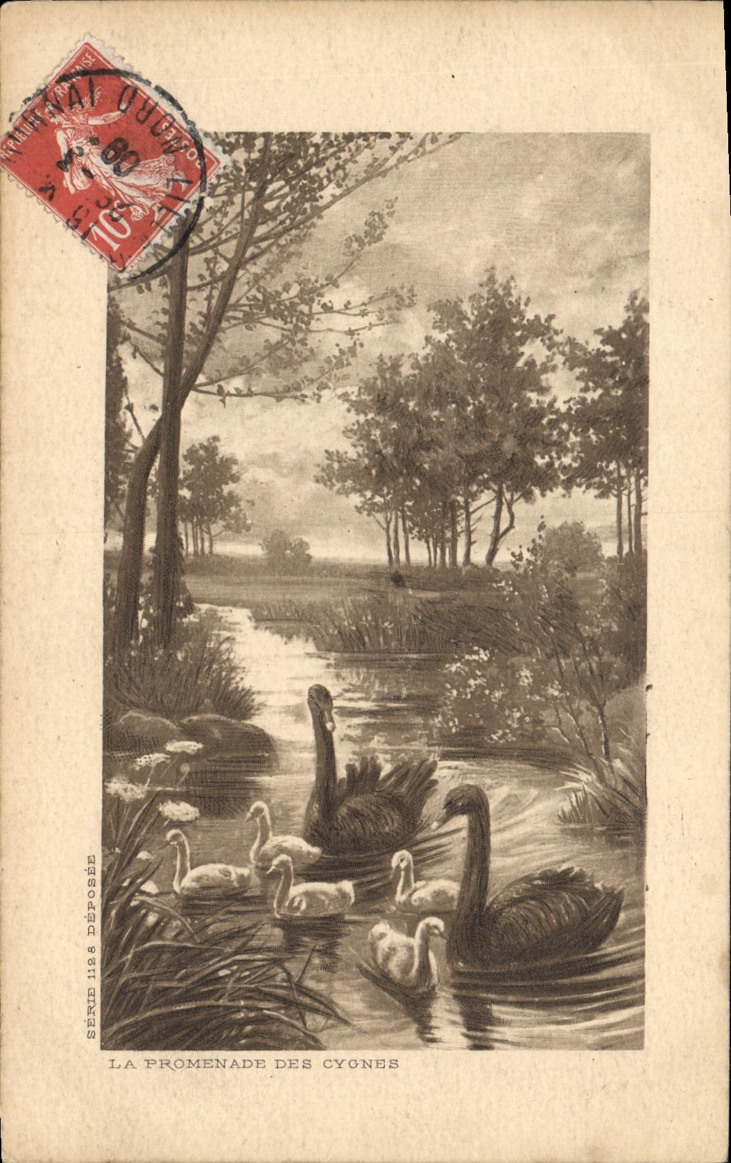 CPA La Promenade des Cygnes 