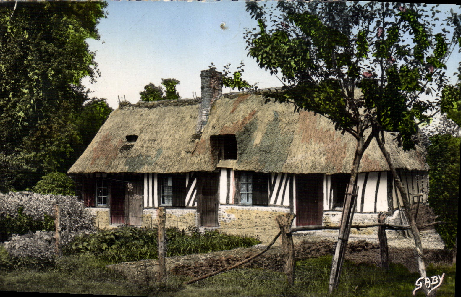 CPA La Normandie Pommiers en Fleurs Vieille Maison Normande 
