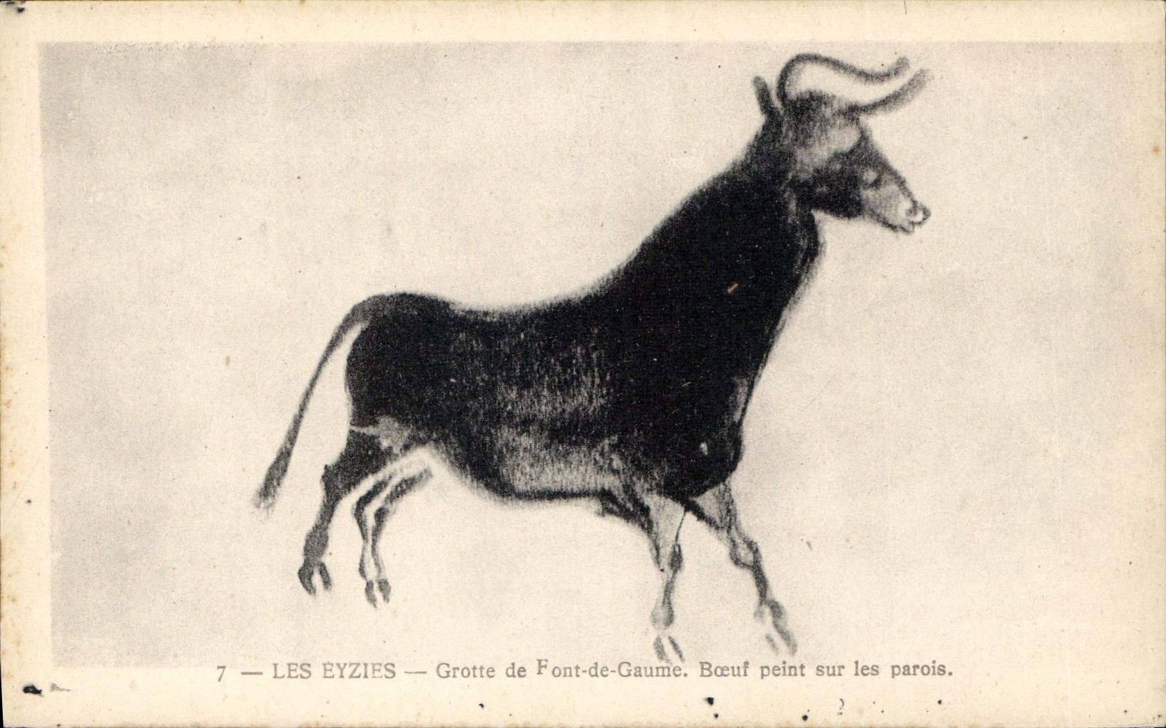 CPA Les Eyzies Grotte de Font de Gaume boeuf peint sur les parois