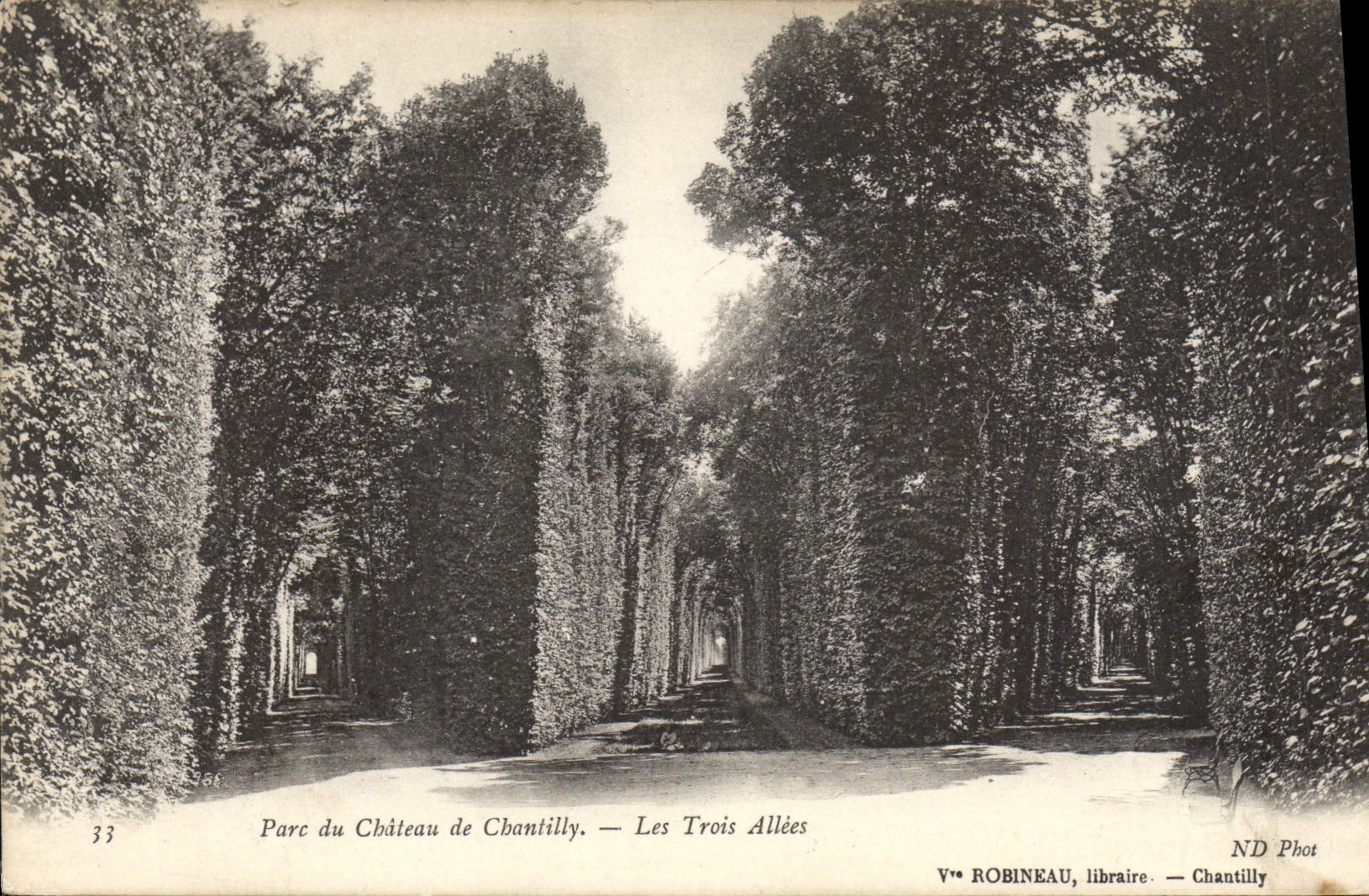 CPA Parc du Chateau de Chantilly les Trois Allees