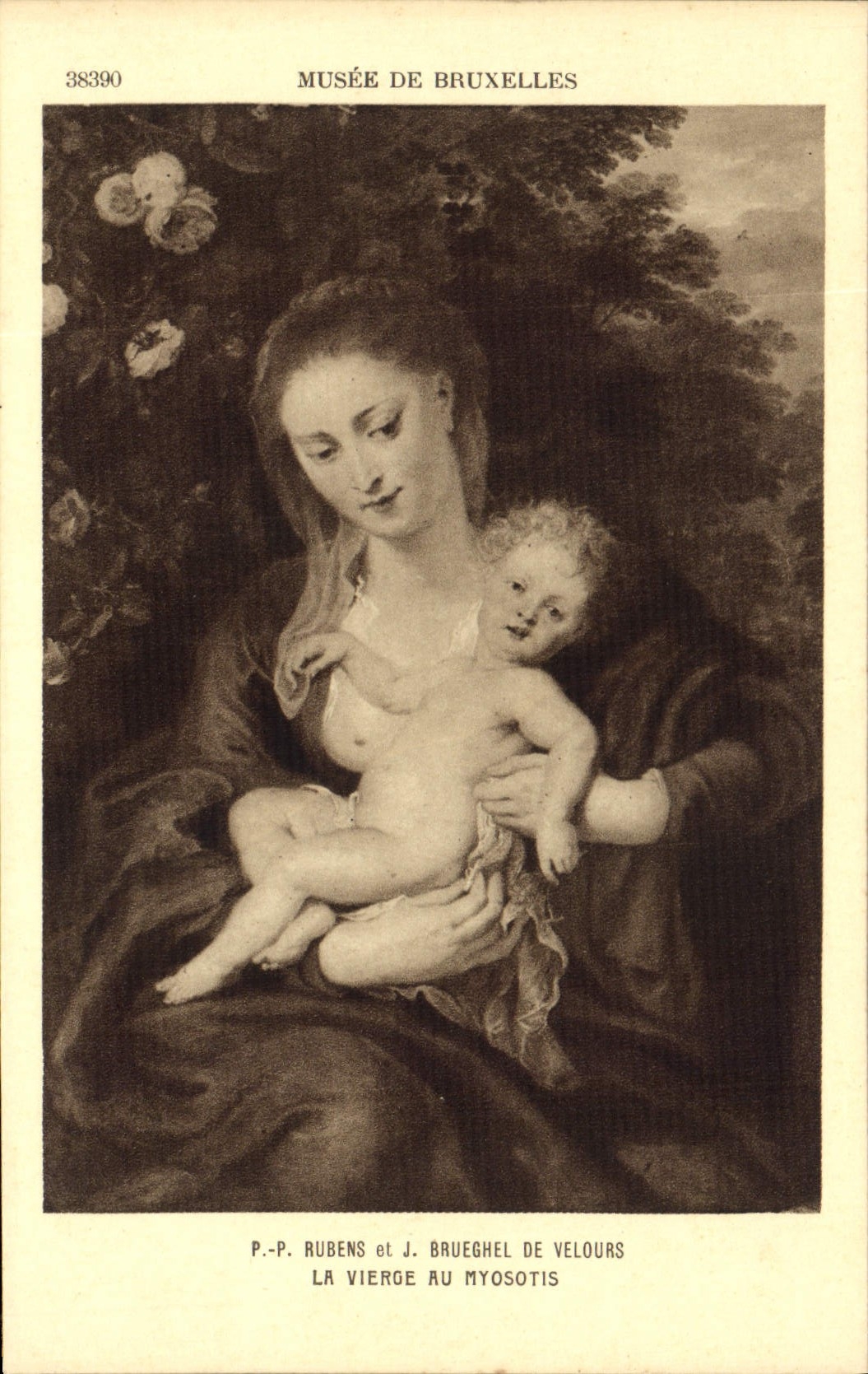 CPA Musee de Bruxelles la vierge au Myosotis 