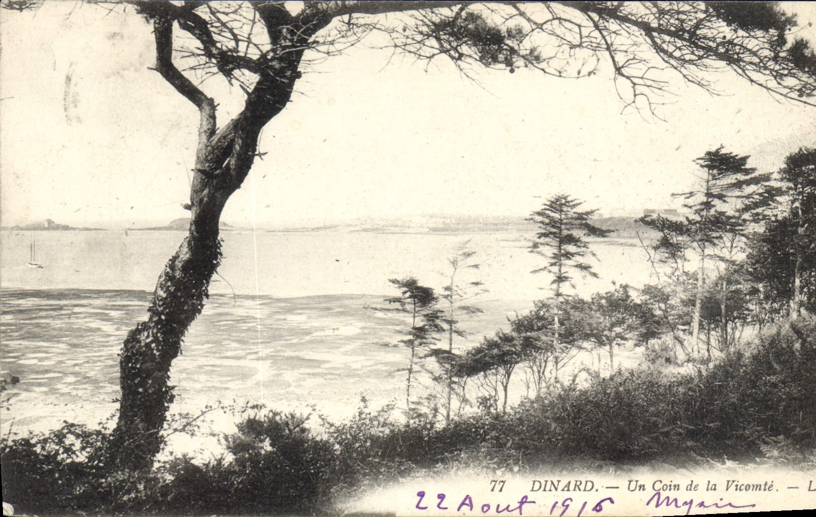 CPA Dinard un coin de la Vicomte 