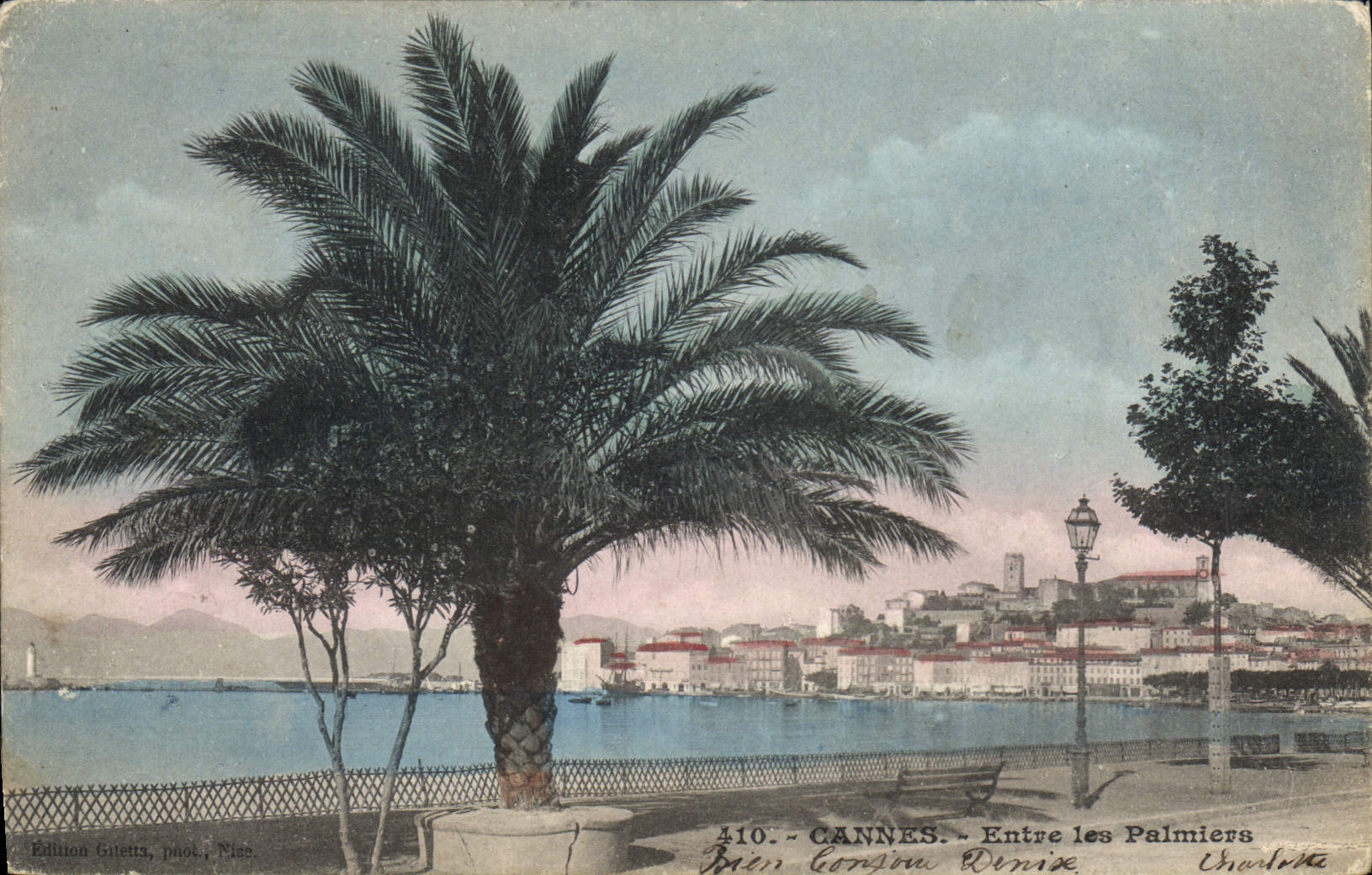 CPA Cannes Entre les Palmiers 
