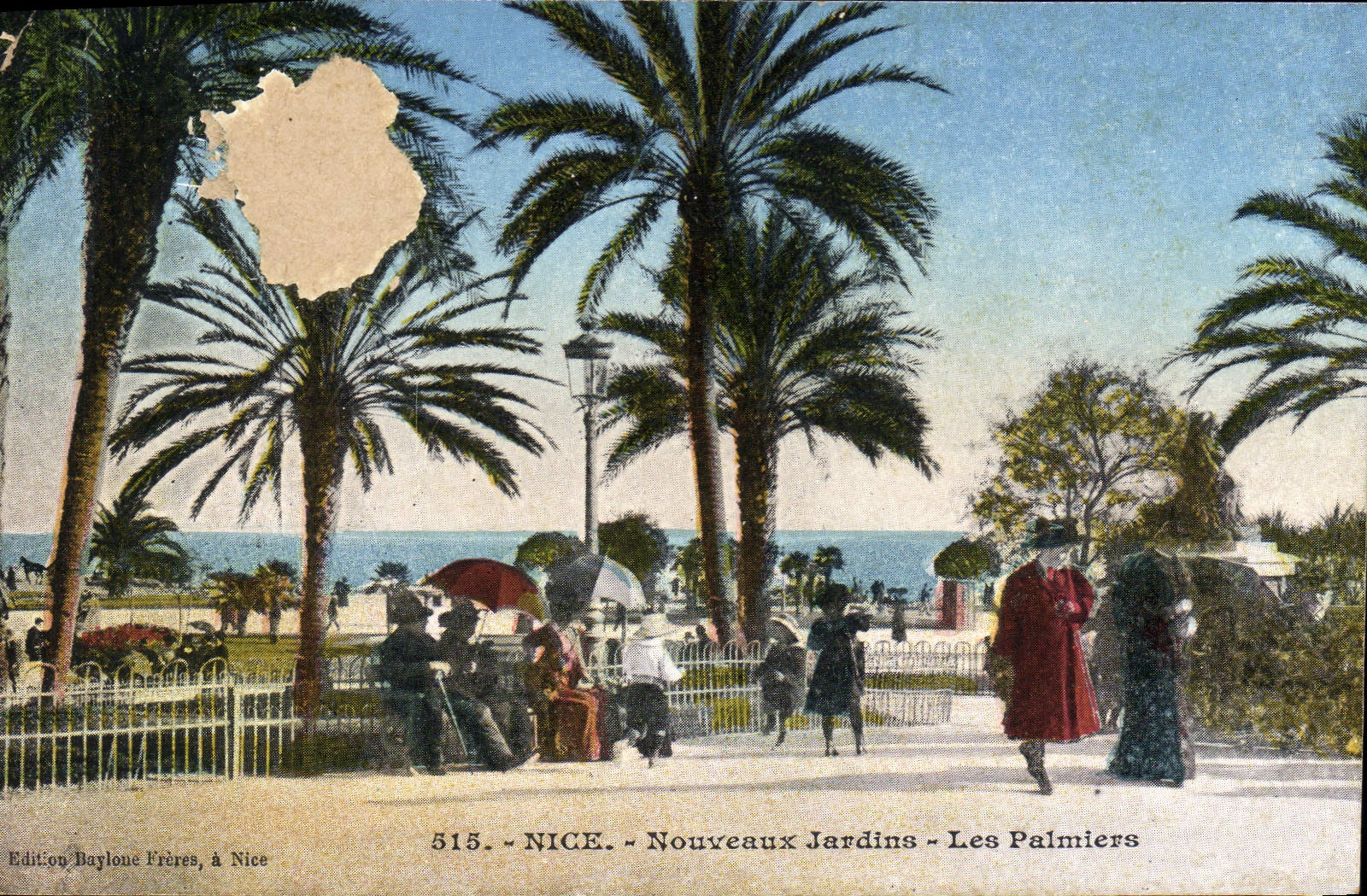 CPA Nice Nouveaux Jardins Les Palmiers