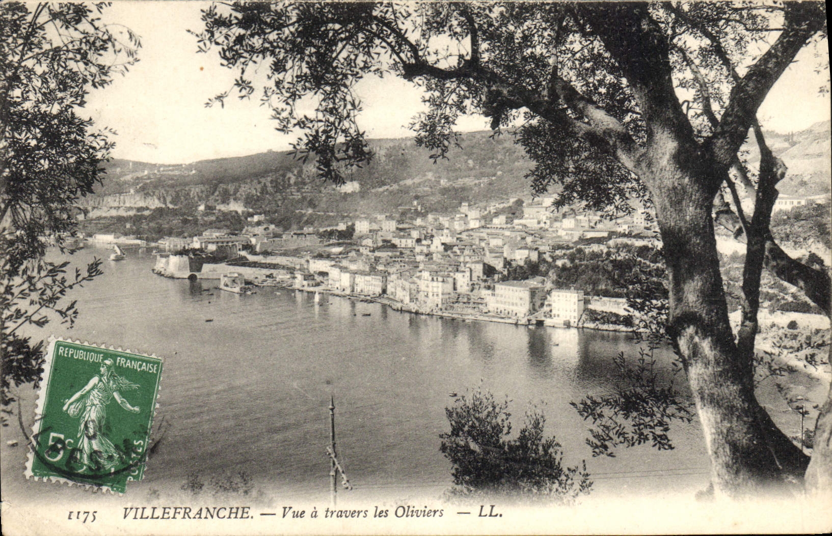 CPA Villefranche Vue a travers les Oliviers