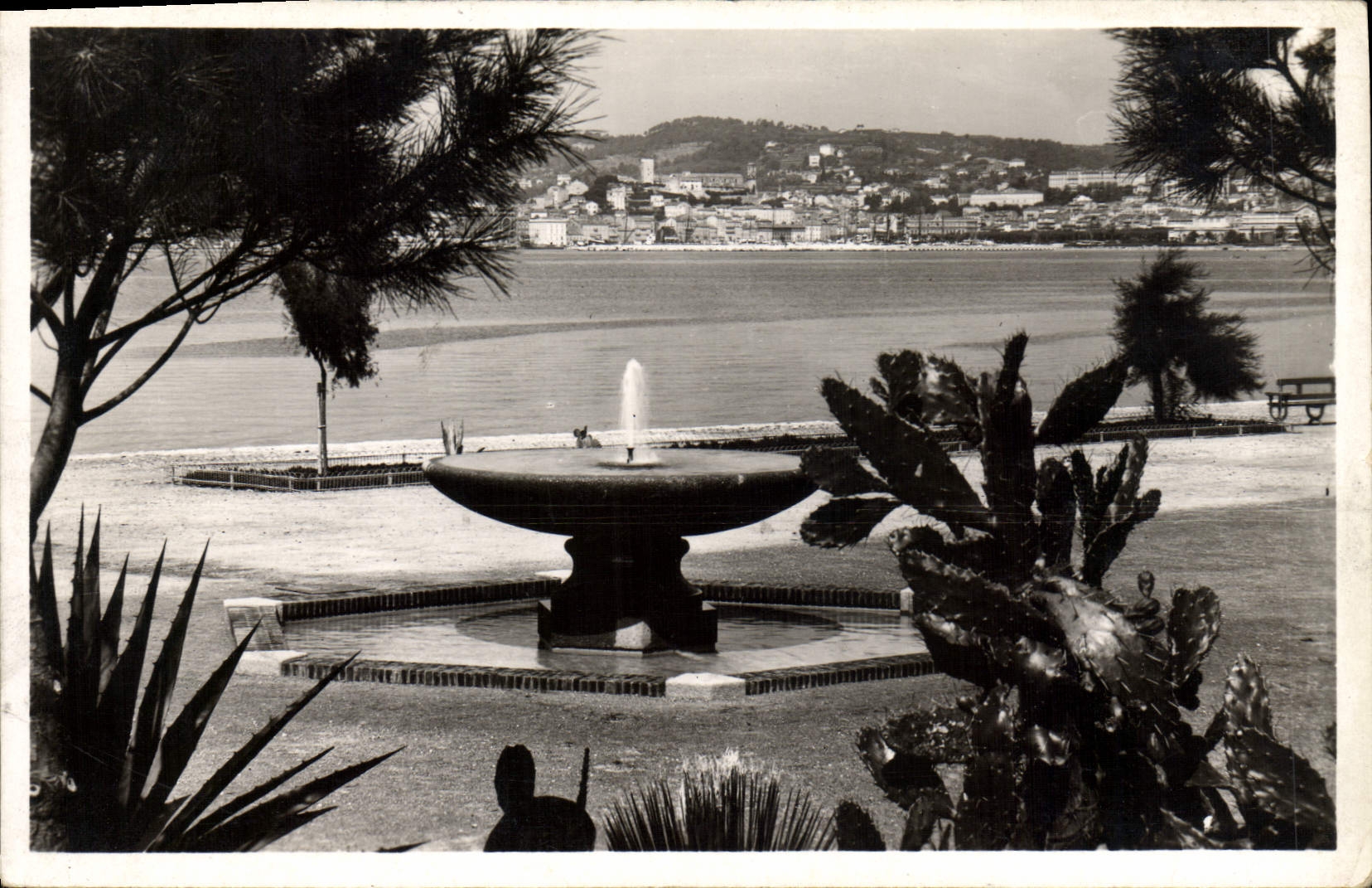 CPA Cannes Le Mt Chevalier vu des Jardins des Hesperides 