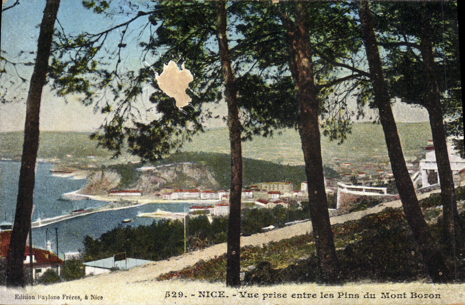 CPA Nice Vue prise entre les Pins du Mont Boron