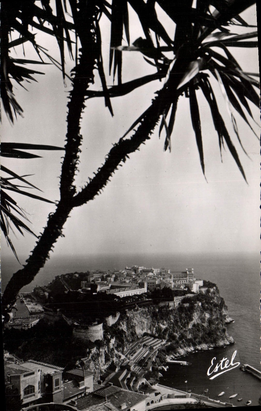 CPA Monaco Vue sur le Rocher 