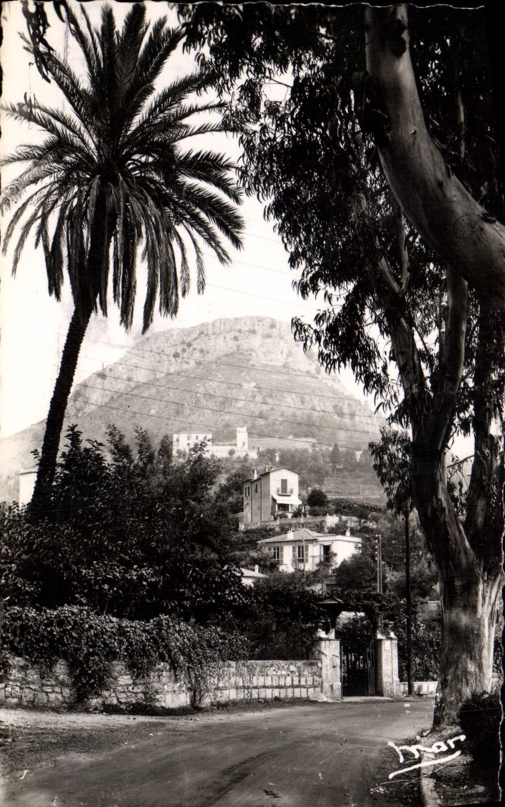 CPA Vence la Jolie A M et chateau des Templiers