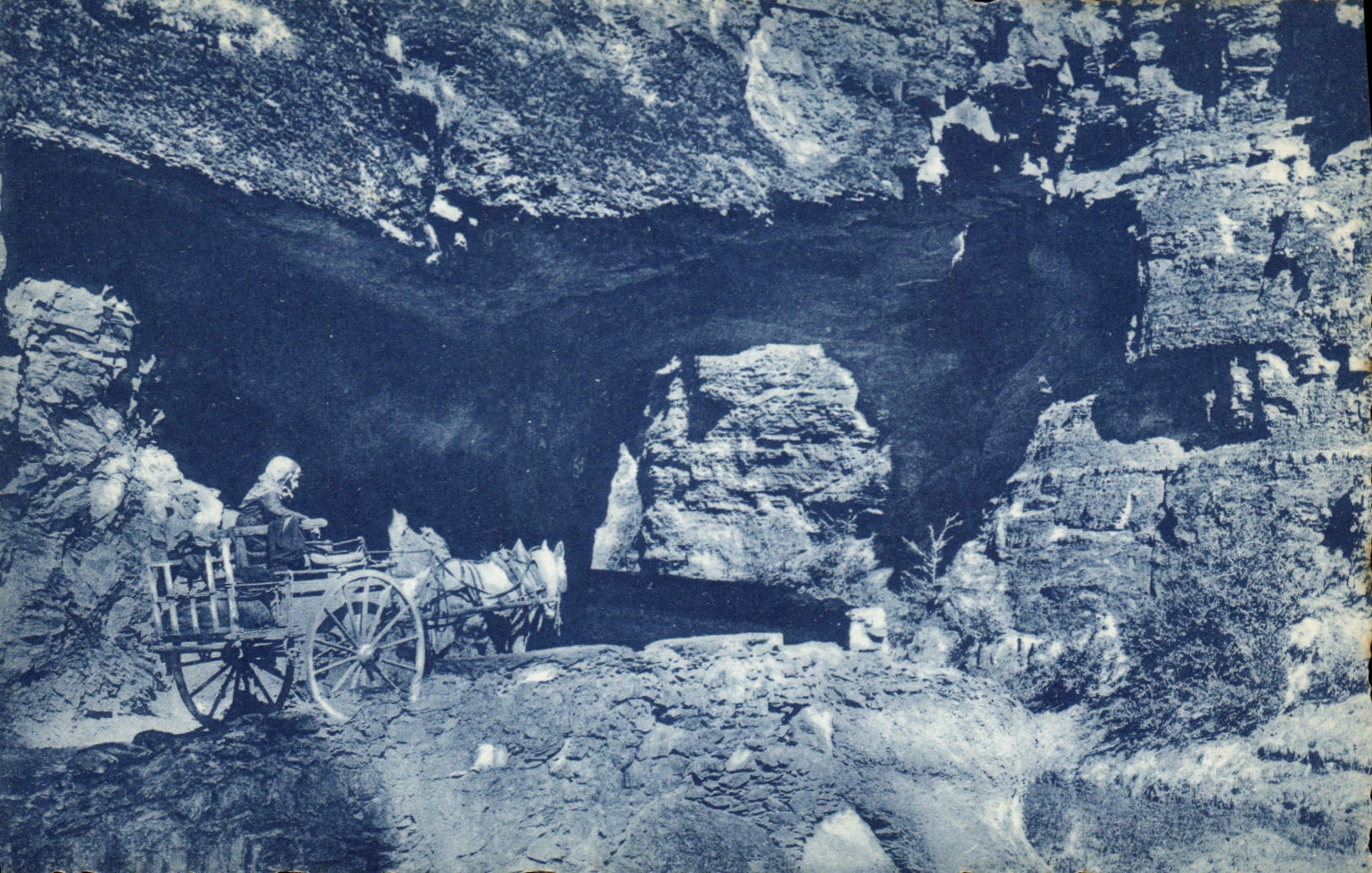 CPA Route des Alpes de Nice a Barcelonnette Route des gorges superieurs du Cians Attelage Ane Mule F