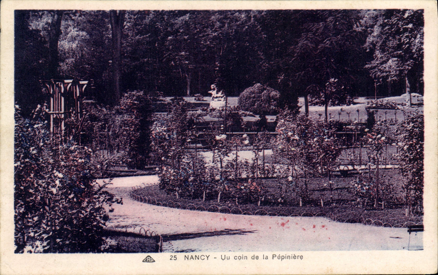 CPA Nancy Un coin de la Pepiniere 