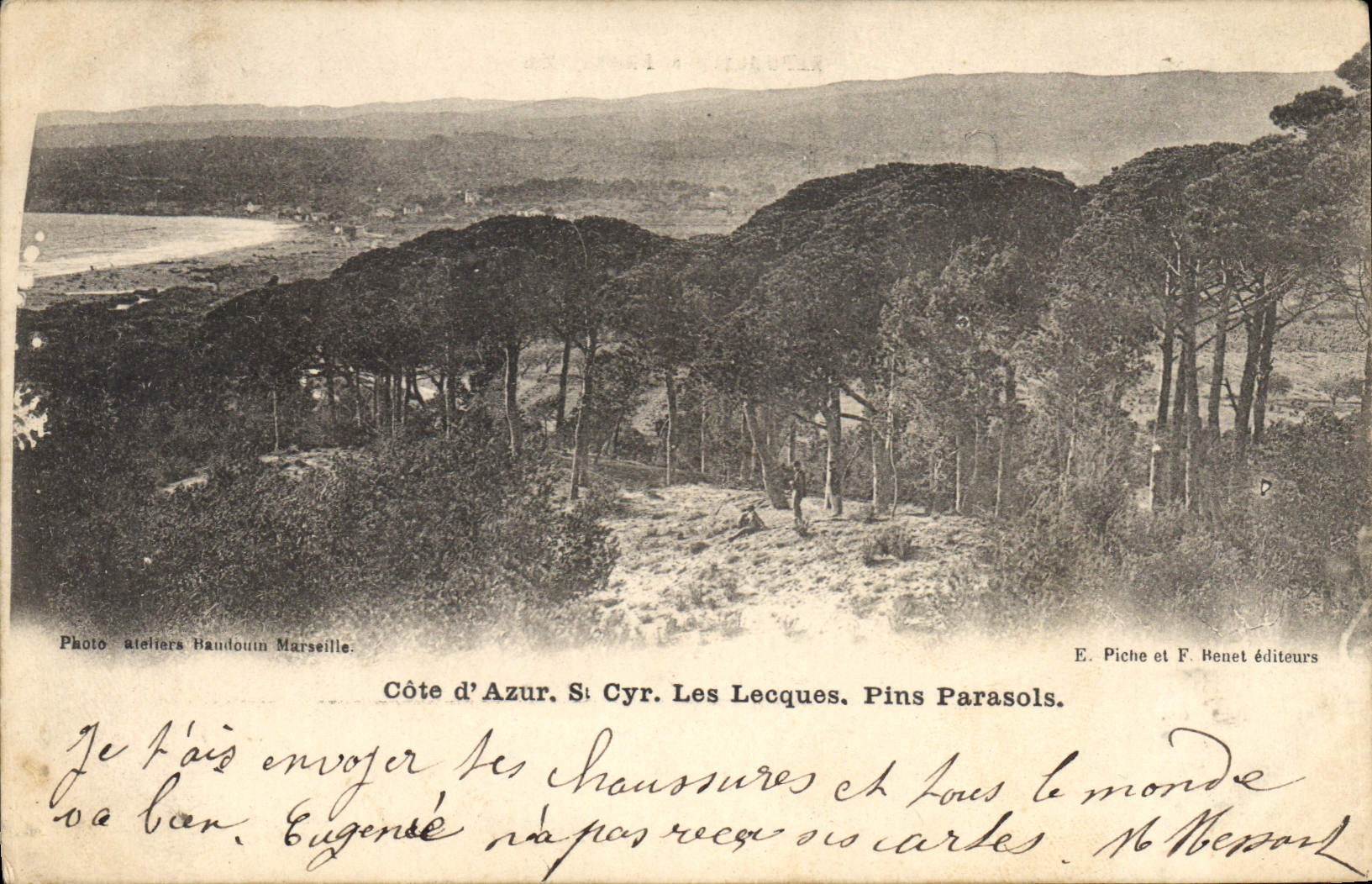 CPA Cote d'Azur St Cyr Les Lecques Pins Parasols