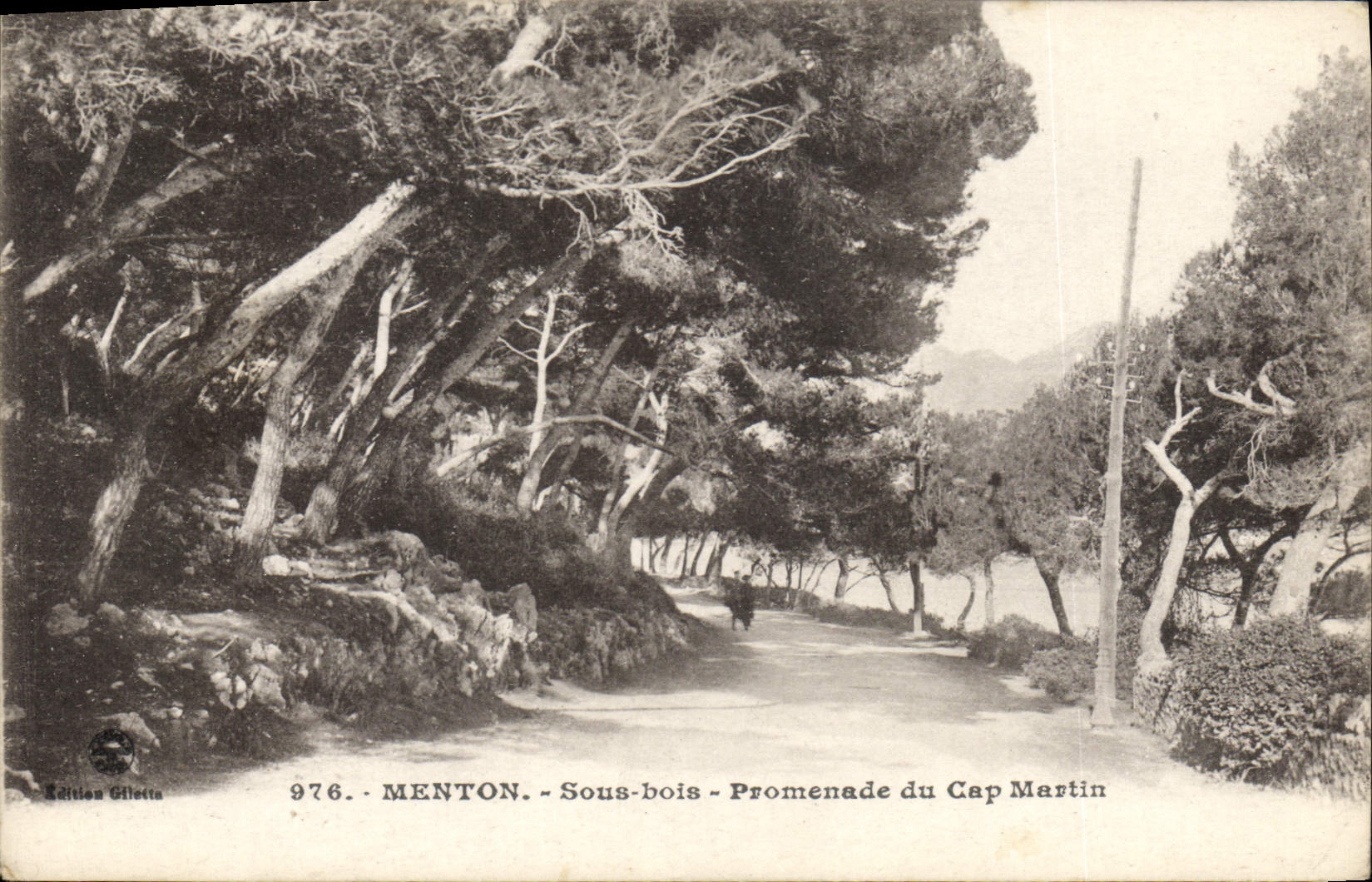 CPA Menton Sous bois Promenade du Cap Martin