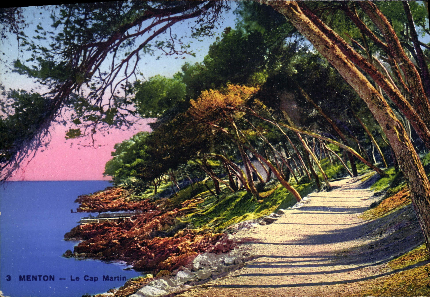 CPA Menton Le Cap Martin 