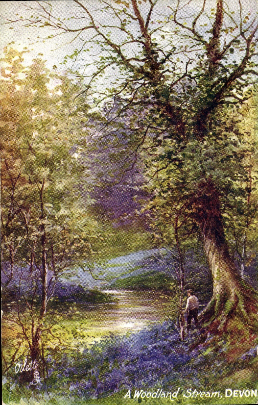 CPA A Woodland Stream Devon