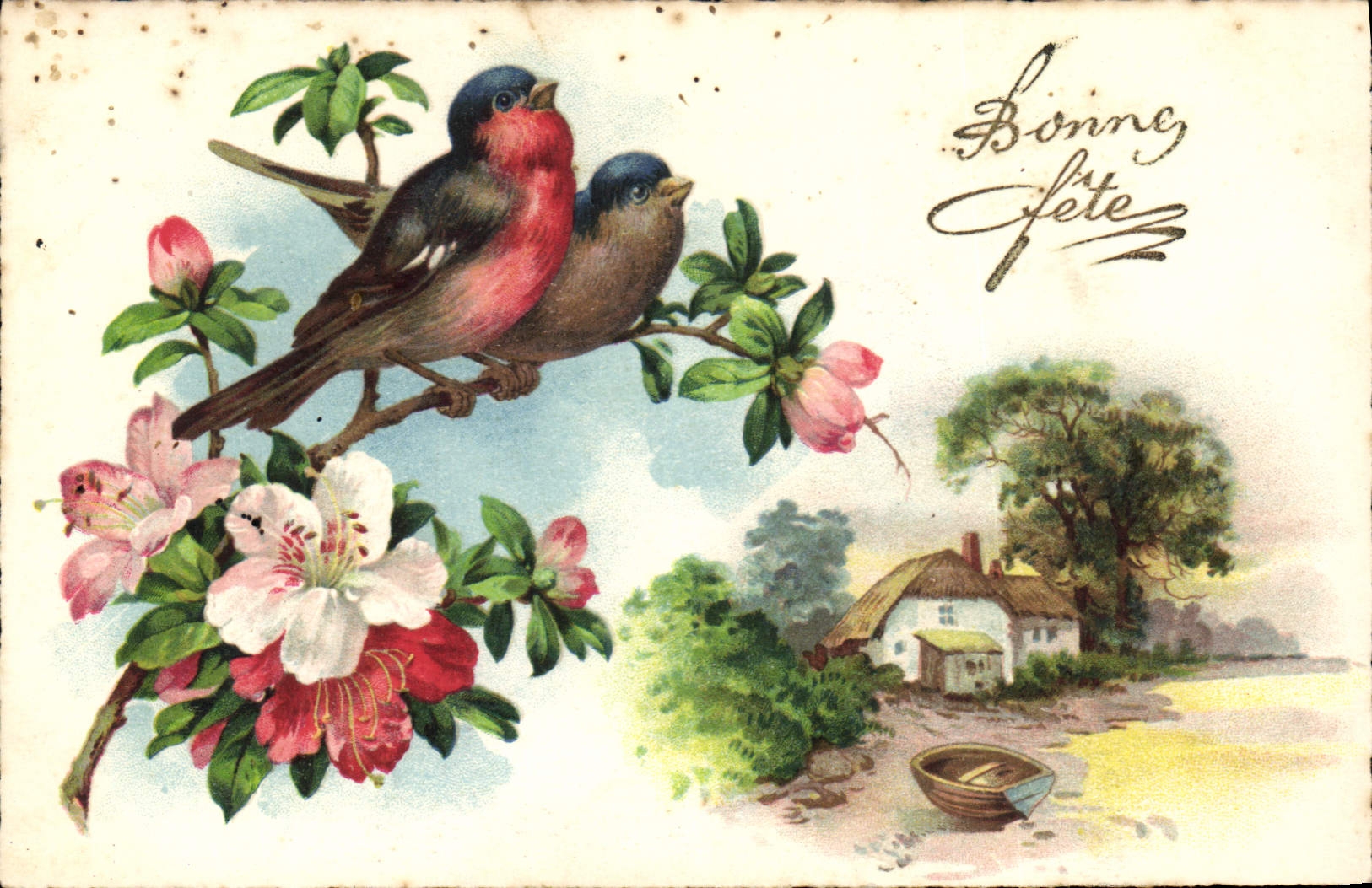CPA Bonne Fete Fleurs Oiseaux