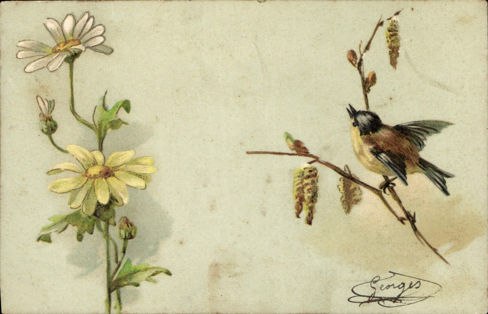 CPA Fleurs Oiseau