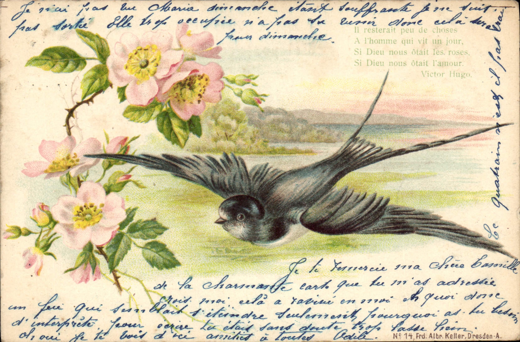 CPA Fleurs Oiseau