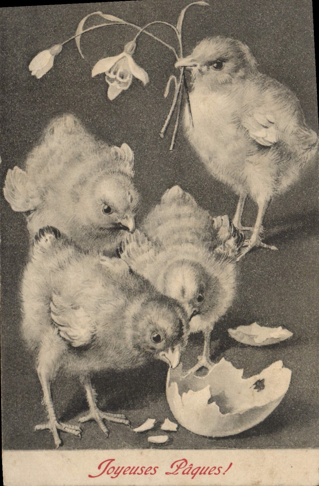 CPA Joyeuses Paques Poussins