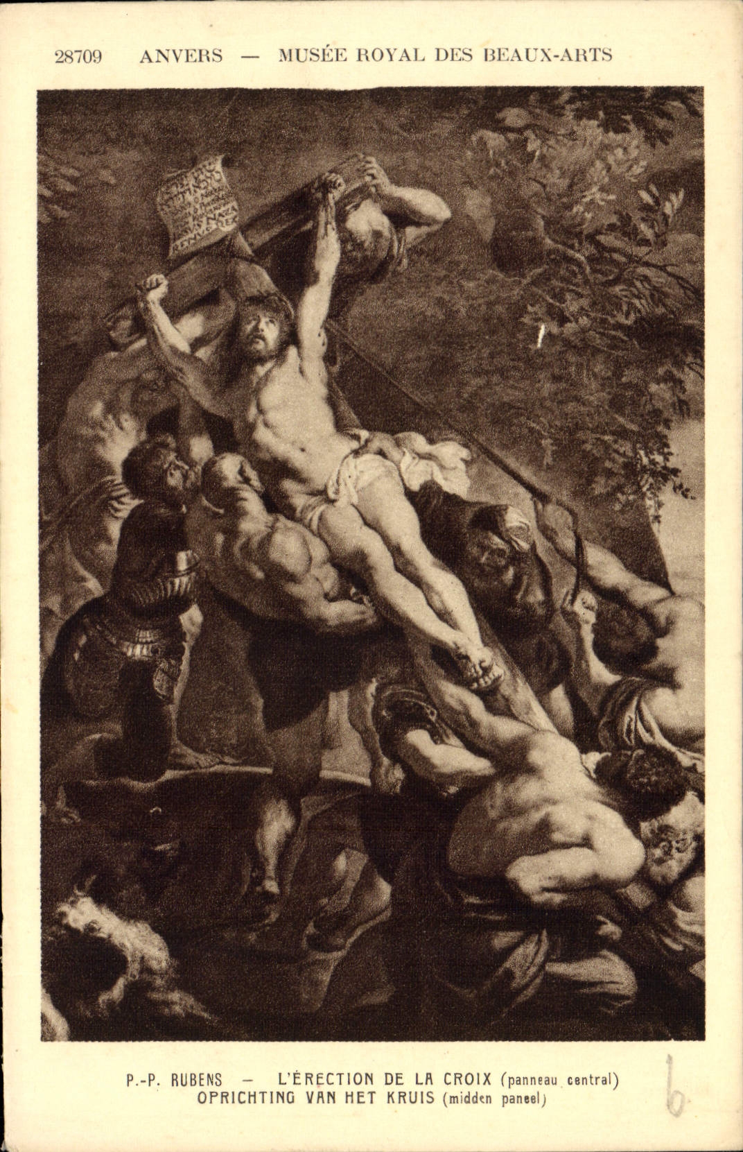 CPA Anvers Musee Royal des Beaux Arts 