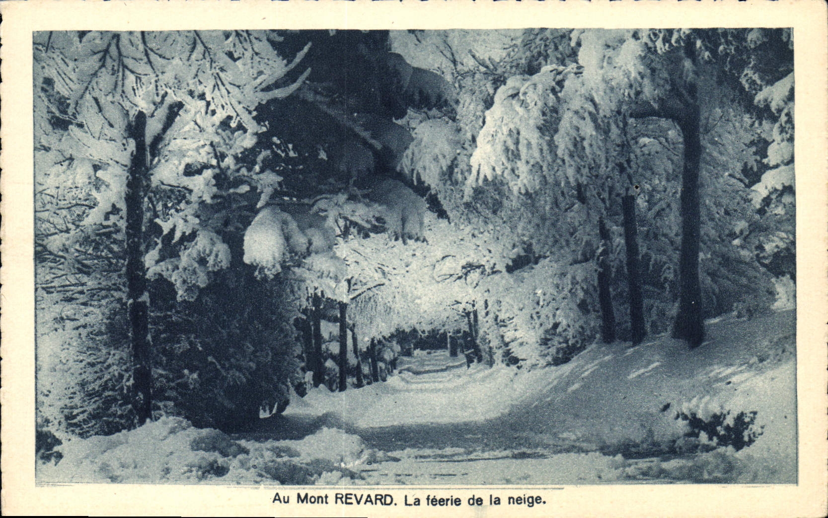 CPA Au Mont Revard La feerie de la neige
