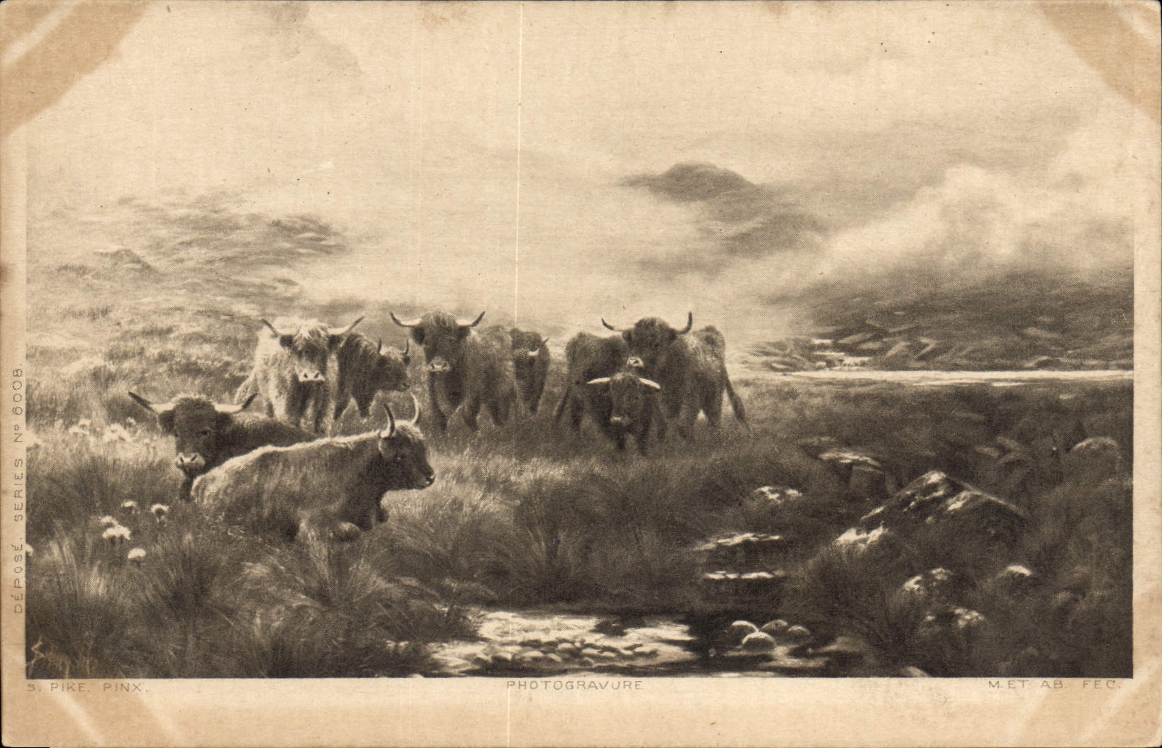 CPA Vaches 