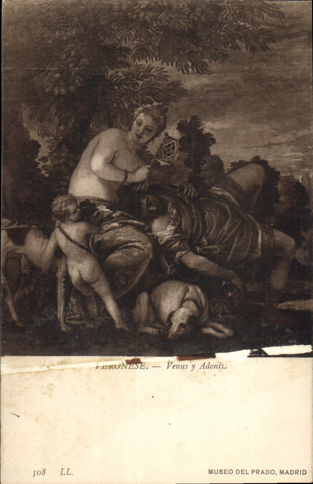 CPA Museo del Prado Madrid Veronese 