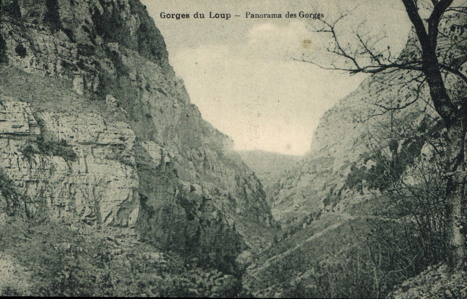 CPA Gorges du Loup Panorama des Gorges 