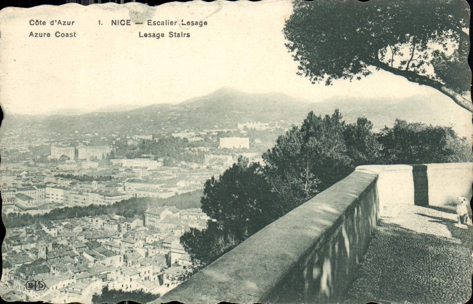 CPA Cote d'Azur Nice Escalier Lesage 